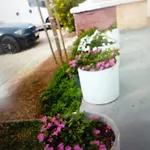 Trubi 1 Apartment *