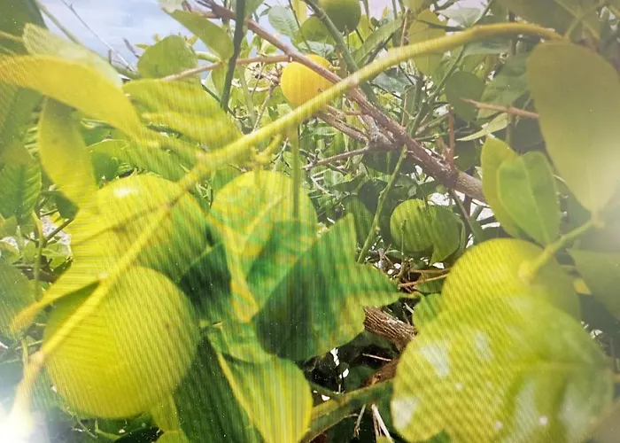 アパート Trubi 1 *